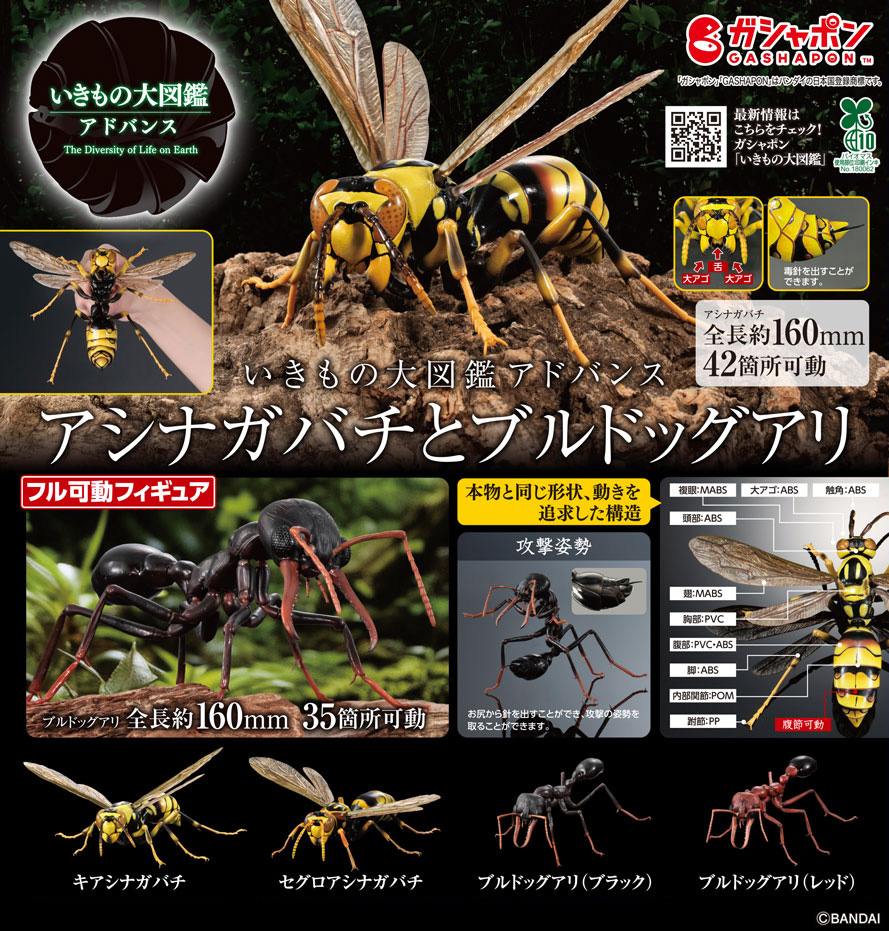 商品情報】 ／ いきもの大図鑑アドバンス アシナガバチとブルドック