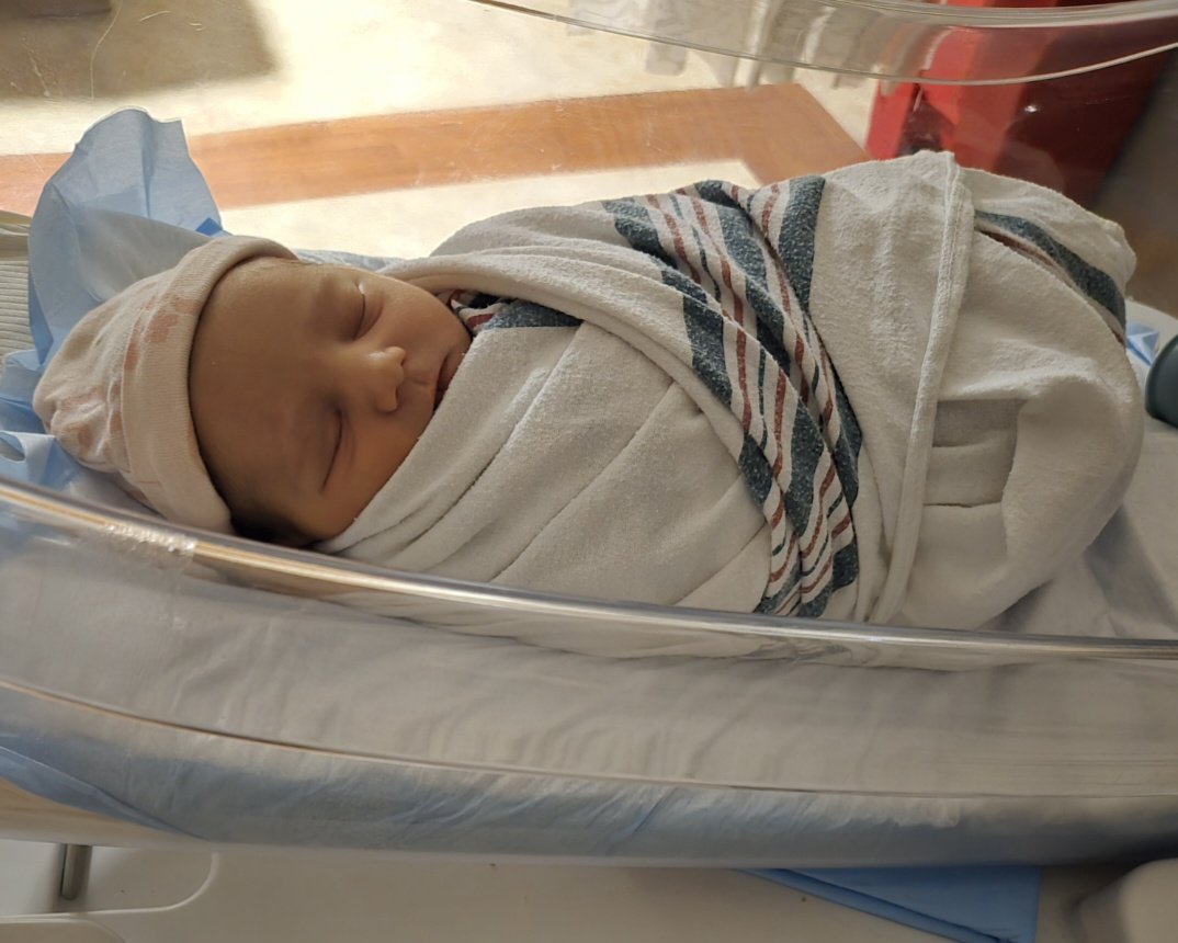 Greater Good Mining tweet media