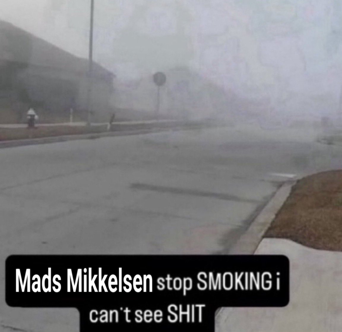 aenimalecter's tweet image. 