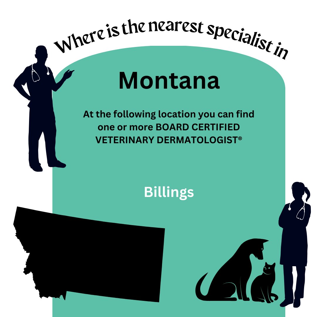 the_ACVD's tweet photo. Our dermatologists are veterinary specialists with extensive training in treating allergies, ear &amp; skin disease. Use the map on our site to locate the one nearest to you - BOARD CERTIFIED VETERINARY DERMATOLOGIST® across the United States and other countries including #Montana https://t.co/ZdZOgO49ce