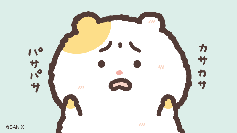 乾燥でかさかさだよ〜〜〜🥲🐹
どうしよう🥲