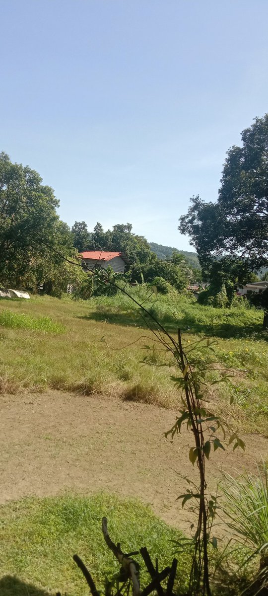 Rodcip30's tweet image. Good morning people