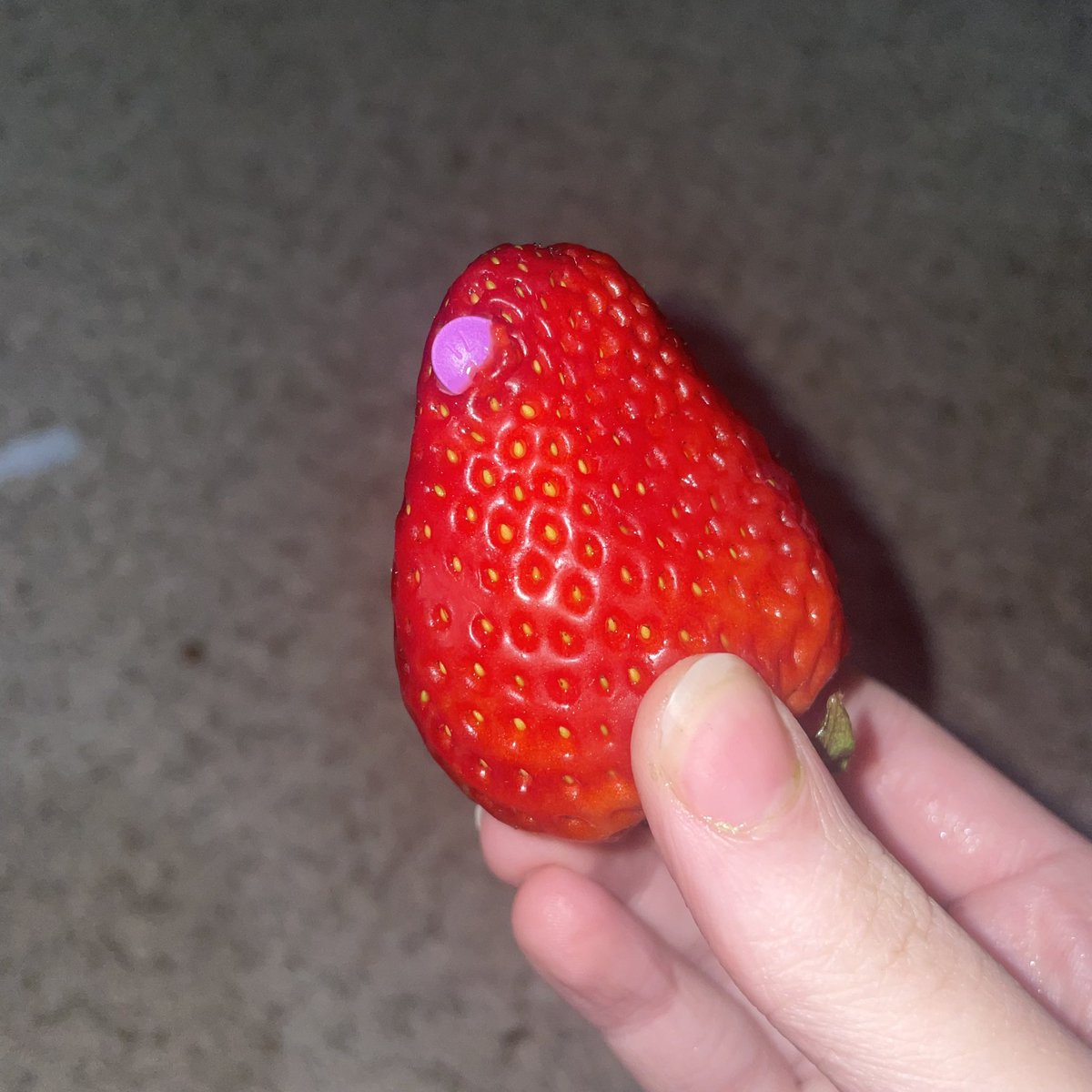 Pippykinzz's tweet image. Who wants a perfectly good strawberry that TOTALLY doesnt have morphine in it!? #drugtwt