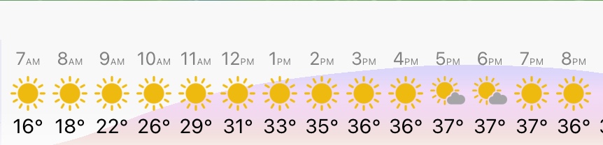 Jackson Oldham tweet media