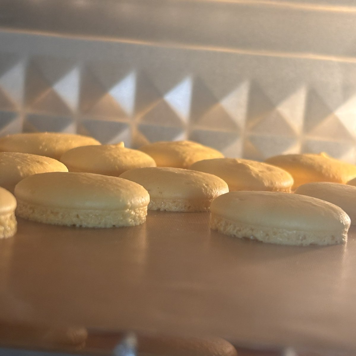 ramuu__662's tweet image. #시즈니트친소 #시즈니_트친소 #블루레이디트친소
앙콘가는 성인 해프랑 친구해요…♥︎♥︎
곰돌이사랑꽉끼는데 베이킹도 좋아함
멤요 맘요가 될게여어 탐라에 심어주세여😍

♡=ff
RT= DM &amp;amp; ff

트친들 인알해죠…💚