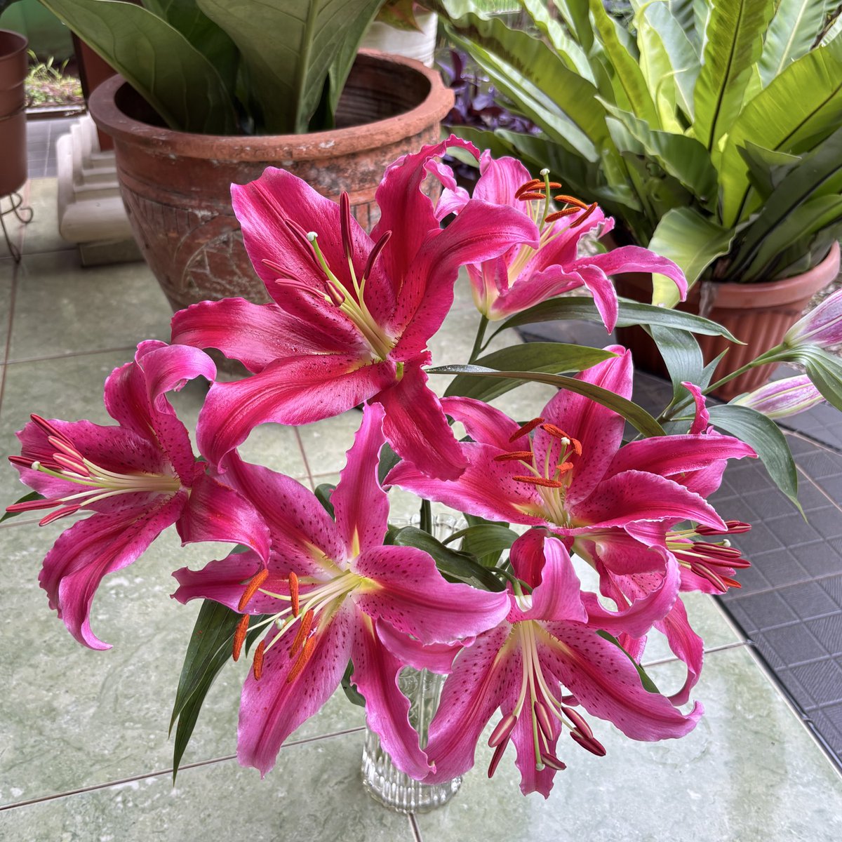 meyi ୭ৎ tweet media