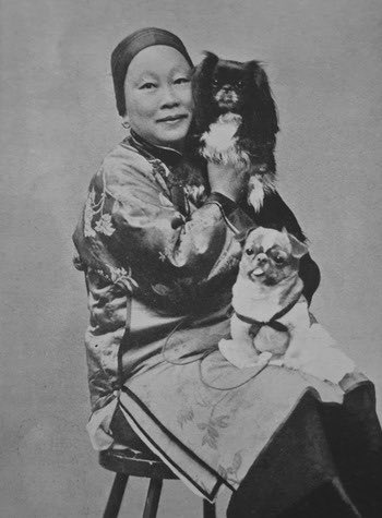 LBelle355's tweet image. Mao’s Red Guards perpetrated a mass killing of pet dogs. Dogs were seen as symbols of decadence of the bourgeoisie, &amp;amp; in so being, represented the sins of their owners. The Red Guards slaughtered so many dogs that several breeds almost went extinct (with other contributing…