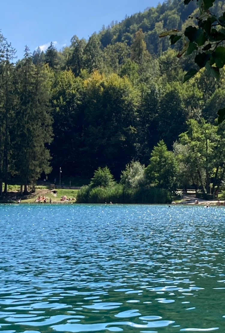 _zgzgzgggzg's tweet image. 📍블레드호수

진짜 경치가 예술이고 평화롭고..
버스타고 내리자마자 보이는 풍경이 너무 아름다워서 눈물 쪼끔 맺힐 정도랄까?
돗자리깔고 호숫가에 누워서 책읽고 빵먹고 물에 발담그고 하면 거기가 바로 천국
냅다 수영하는 외국인들,, 피크닉와서 까르륵까르륵하는 애기들,, 물소리,,,😭