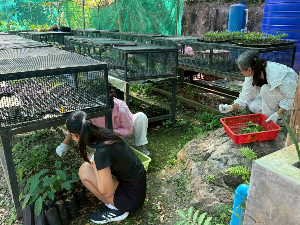 DSNC volunteers 💚🪴

สถาบันภาษา มหาวิทยาลัยเชียงใหม่ นำนักศึกษา จำนวน 16 คน ร่วมทำกิจกรรม "อาสาสมัครดูแลเรือนเพาะชำกล้าไม้ท้องถิ่น" และศึกษาพรรณไม้ ณ น้ำตกห้วยแก้ว เมื่อวันพุธที่ 21 มกราคม 2569 

ขอขอบคุณน้อง ๆ ทุกคน ที่มาร่วมเป้นอาสาในครั้งนี้ ขอบคุณครับ/ค่ะ #DSNC #ดอยสุเทพ #มช