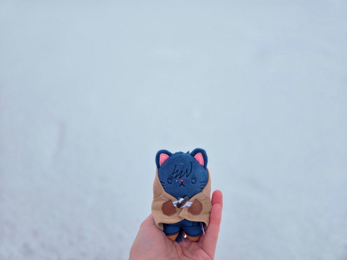 miixxxfak's tweet image. これが雪だよ❄ちびにゃんさん☃️