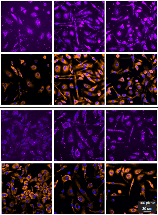 Waggoner Lab tweet media
