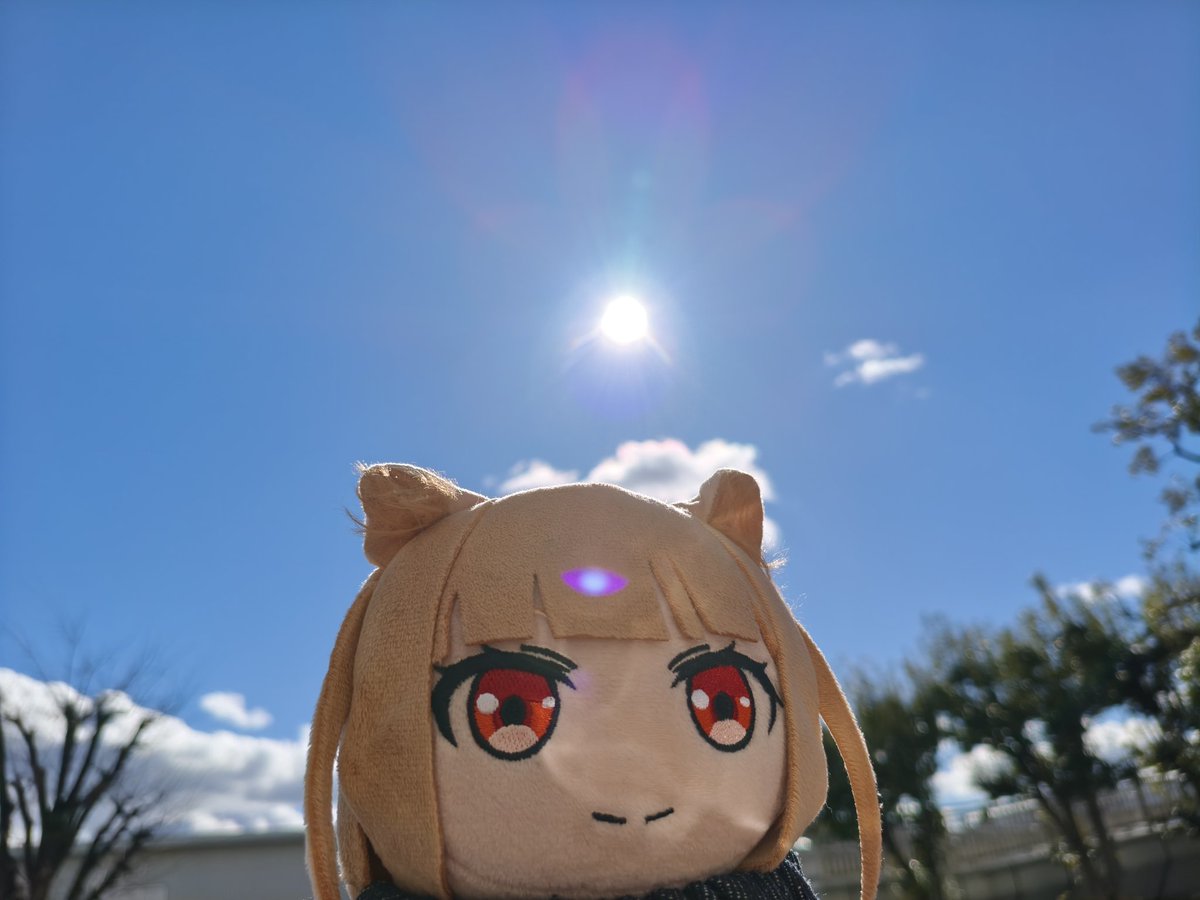 GooYang's tweet photo. 🍎＼こんにちわっち！／🐺

あれ、ホロに第三の目が……( ˶°⌓°˶) https://t.co/CbuKVo0RgX