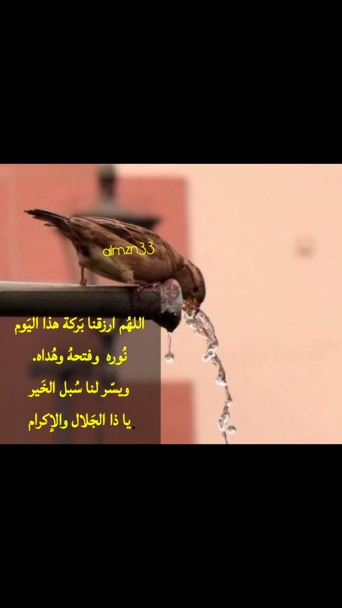 ganh33's tweet photo. سبحان الله والحمد لله ولا إله إلا الله والله أكبر 🌴 https://t.co/PaWXjZGZ55