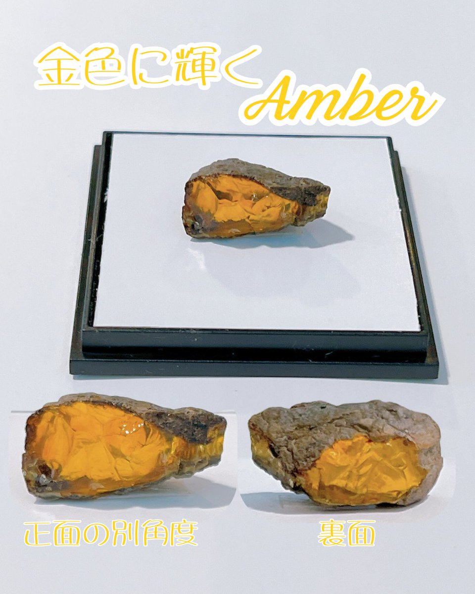 岩手県北産　琥珀　原石 久慈原産琥珀原石（未研磨） – 上山琥珀工芸