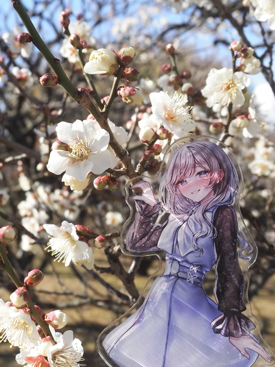 Sakura ┊ 関西コミティア【L-29】 (@39ra_______) / Posts / X