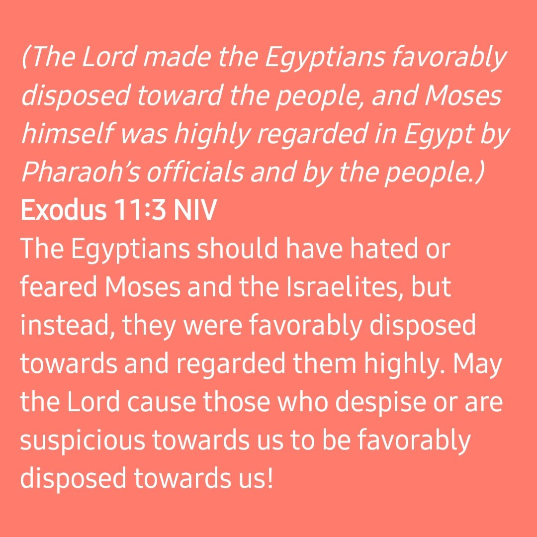 Pastor M tweet media