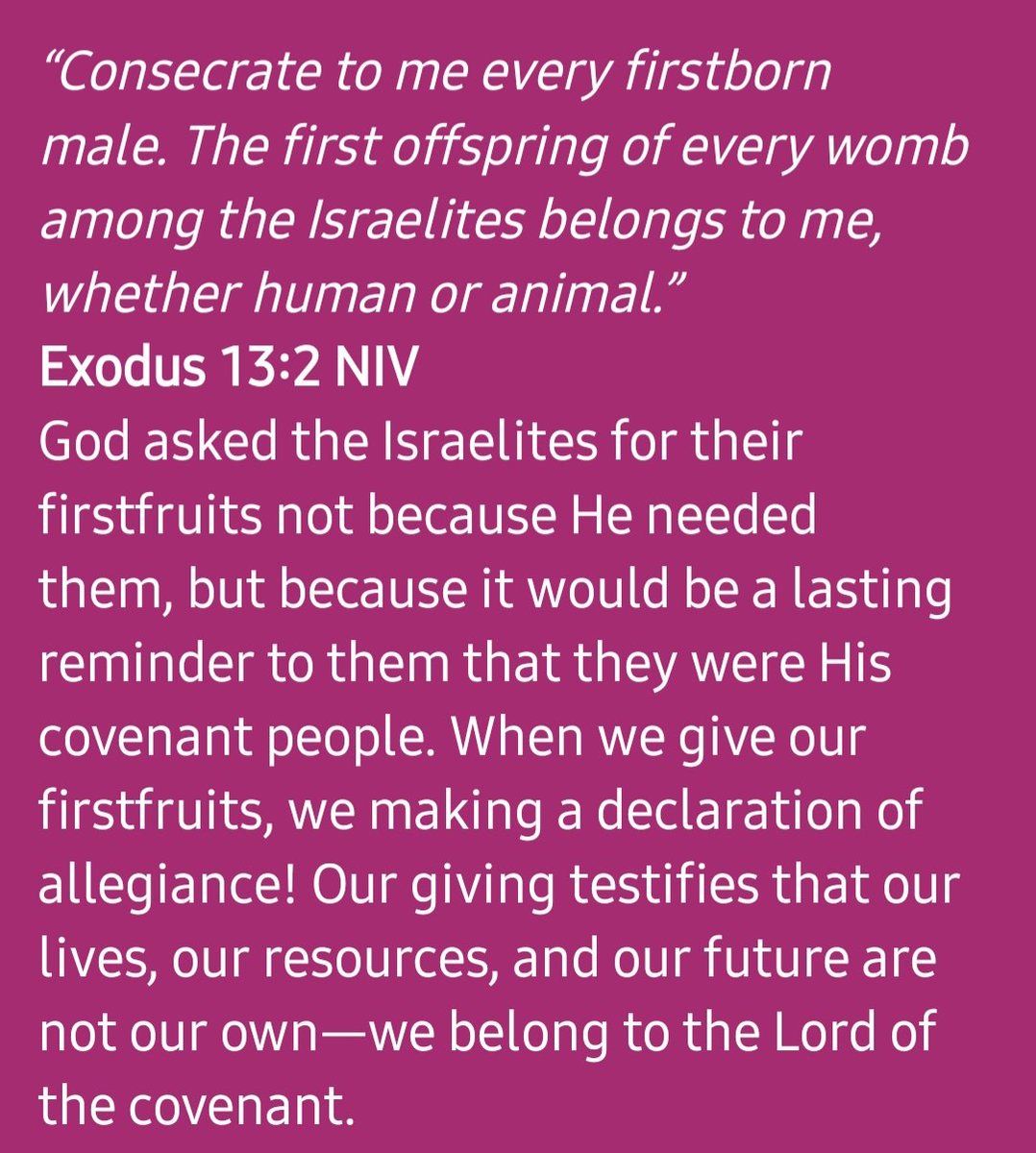 Pastor M tweet media