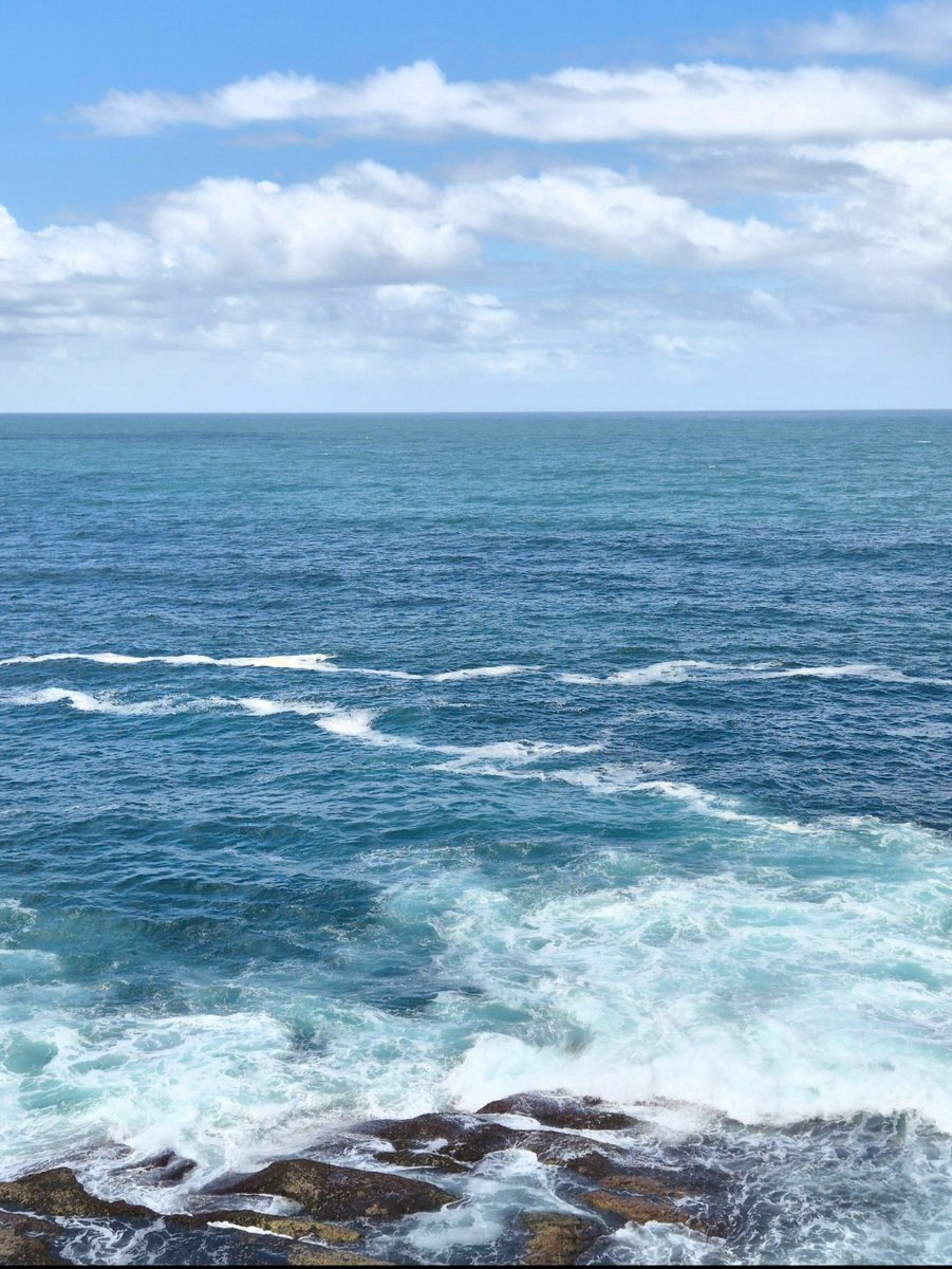 zZaal_Lang's tweet image. 제가 찍은 바다 봐주세요
무보정
여기 절벽에 앉으면 3시간 뚝딱가요🫶