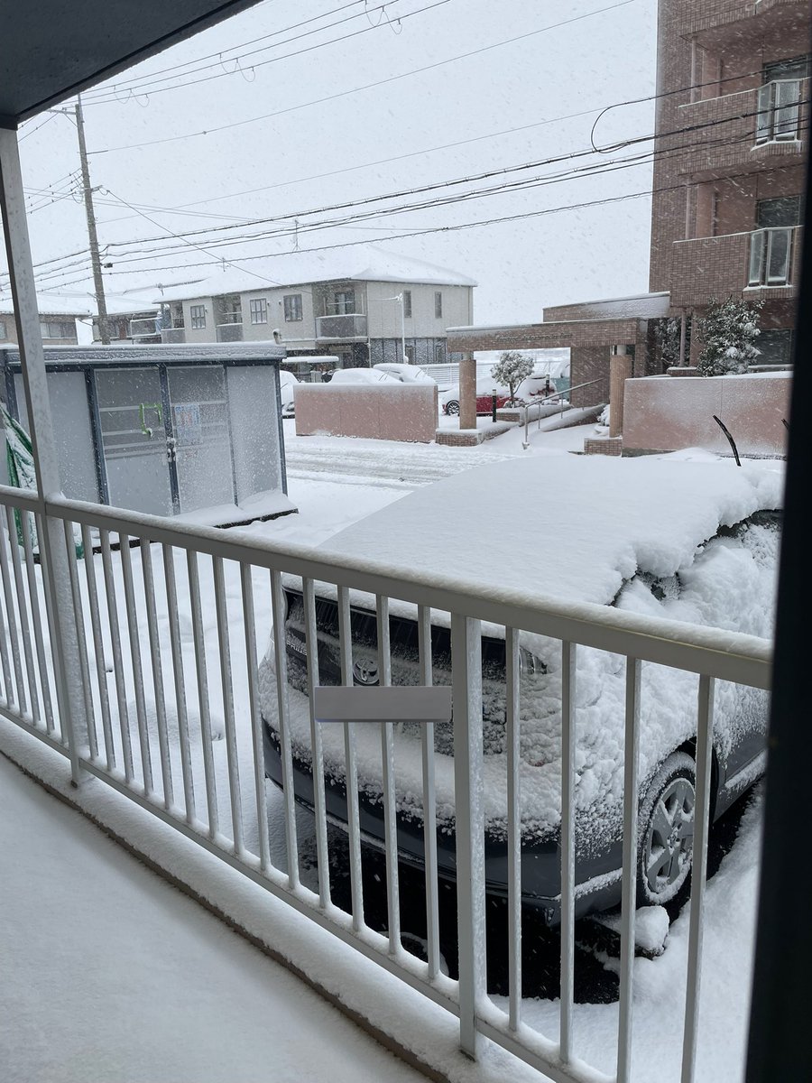 yasu_o_b's tweet photo. -3℃寒い:( ;´꒳`;):ﾋｪｯ https://t.co/kDvnJQNUFM