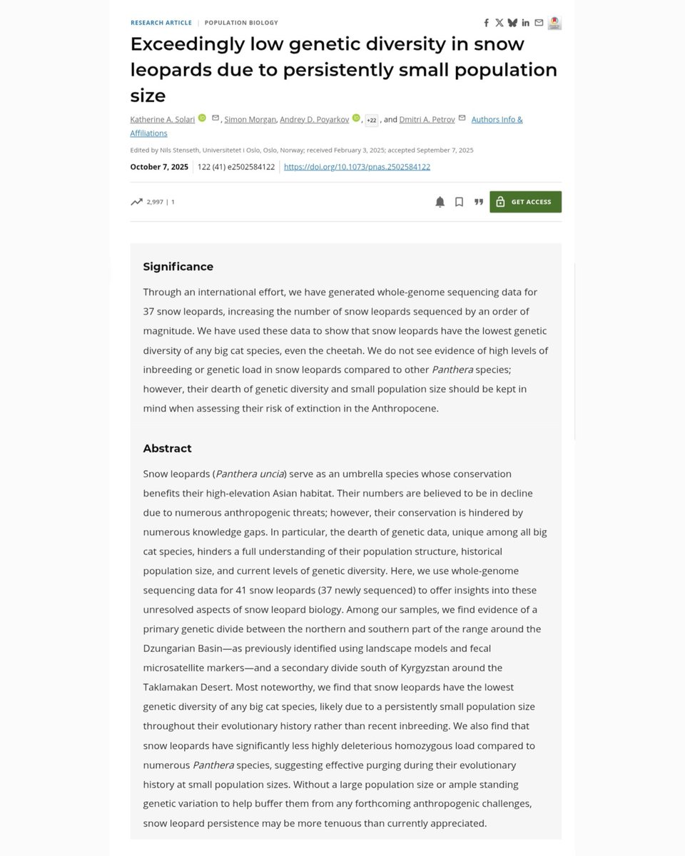🧬New research by <a href="/kasolari/">Katie Solari</a> et al. shows how whole-genome data can inform #snowleopard conservation—from species history &amp; distribution to individual id. using non-invasive samples—demonstrating how genomics can support real-world #conservation.

🔗pnas.org/doi/pdf/10.107…