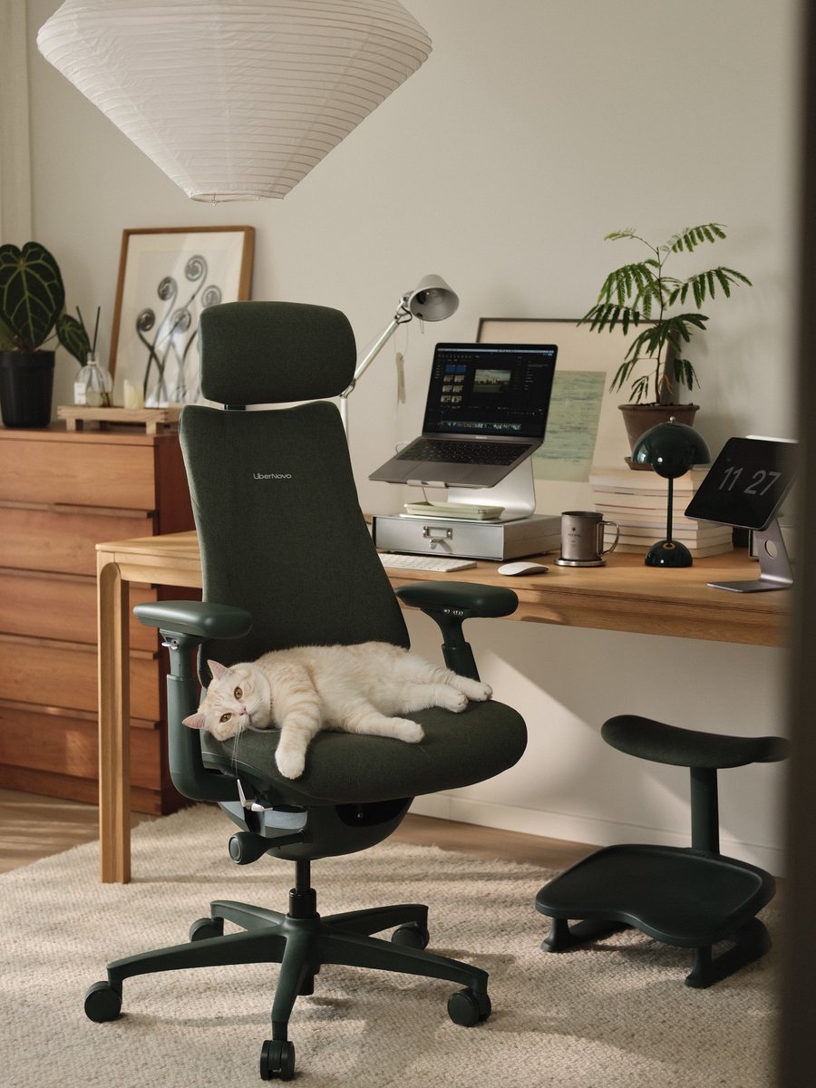 🌿 Quick reset. What helps you relax and reset?

Lean back in Moss Green Omni and decompress with OmniStretch. A simple way to recharge in minutes 🌱

Early Bird: 🇺🇸 Up to 32% OFF · 🇨🇦 Up to 36% OFF

🔗 linktr.ee/libernovo