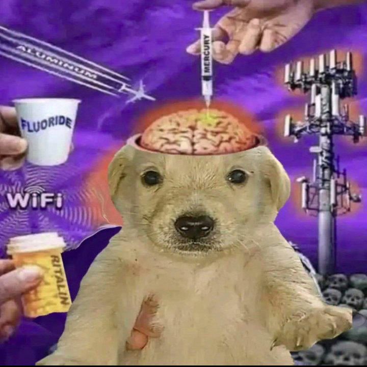 cuando tiras una referencia ultra nicho que se necesita 50 horas diarias de internet para entender pero tu real te la sigue: