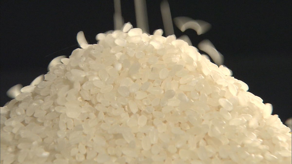 コメの高値続く】 農水省が令和7年産米の相対取引価格(出荷業者と卸売業者間の契約価格 )を12月時点でまとめ、玄米60キロで福井のコシヒカリは3万3327円と6年産米に比べ55パーセント高くなりました。またハナエチゼンは3万2820円で55パーセントアップ、あきさかりも54  ...