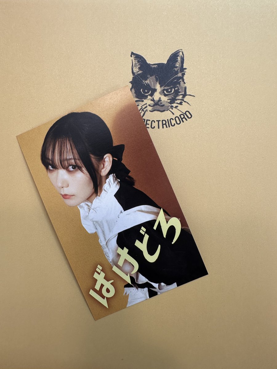 物販コーナーにもぜひ立ち寄ってね パンフレット超ボリューミー