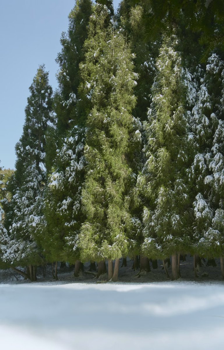 pgat69o's tweet photo. winter letter https://t.co/JykkPkry7d