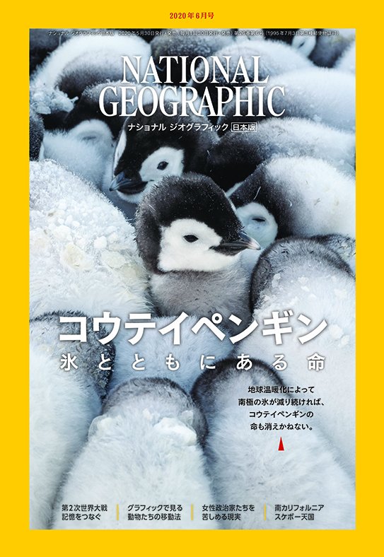 1/22は2020年6月号。カバーストーリーは「氷とコウテイペンギン」でした。他に「終結から75 年 大戦の記憶をつなぐ」「動き回る動物たち」「女性政治家たちの苦闘」「米西海岸 スケボー天国」などの特集も。詳しくはこちらからどうぞ→ natgeo.nikkeibp.co.jp/nng/sp/30th/?i…