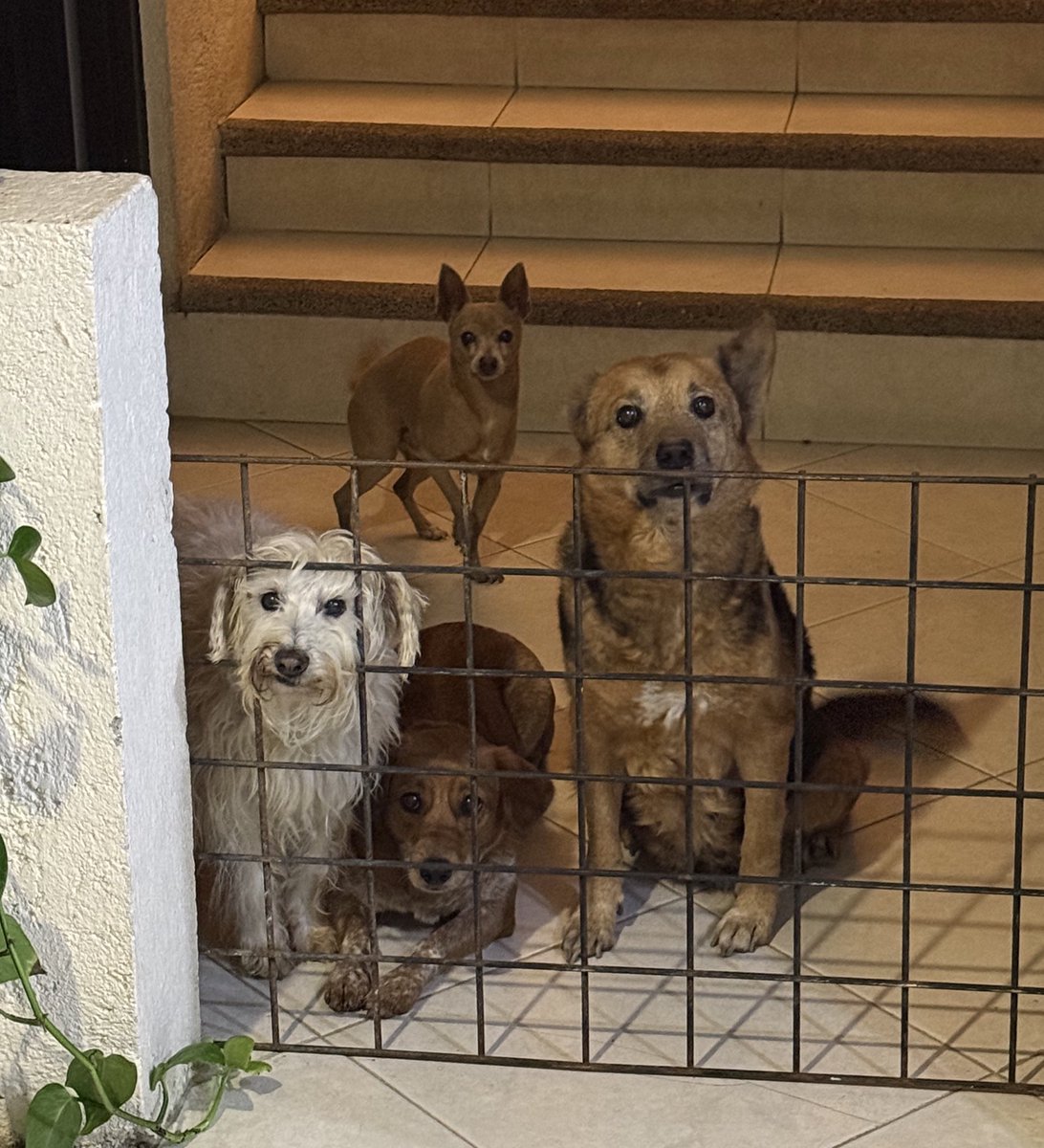 Hugo (@hugoswissro) on Twitter photo 