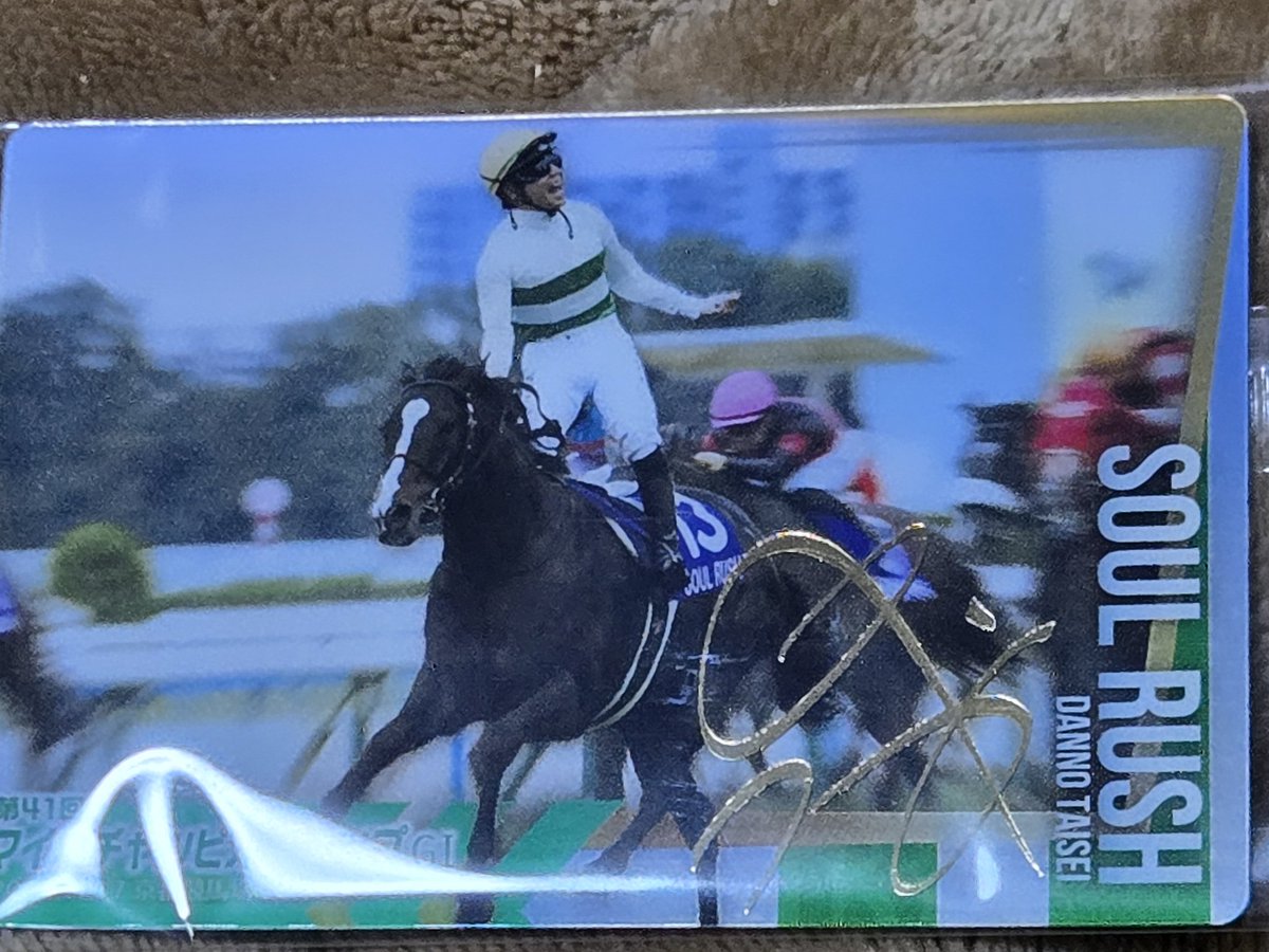 9日目 マイルチャンピオンシップのソウルラッシュ 団野大成騎手！ この