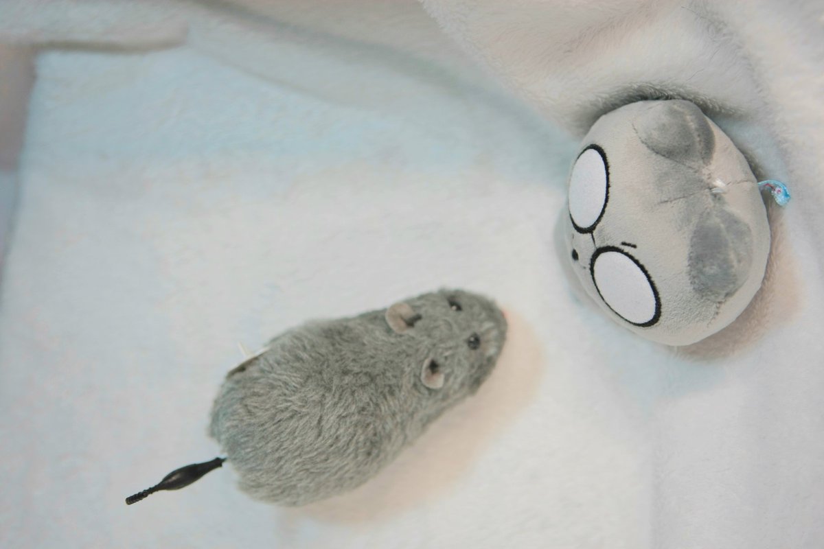 mell.⚯̫🧣 tweet media