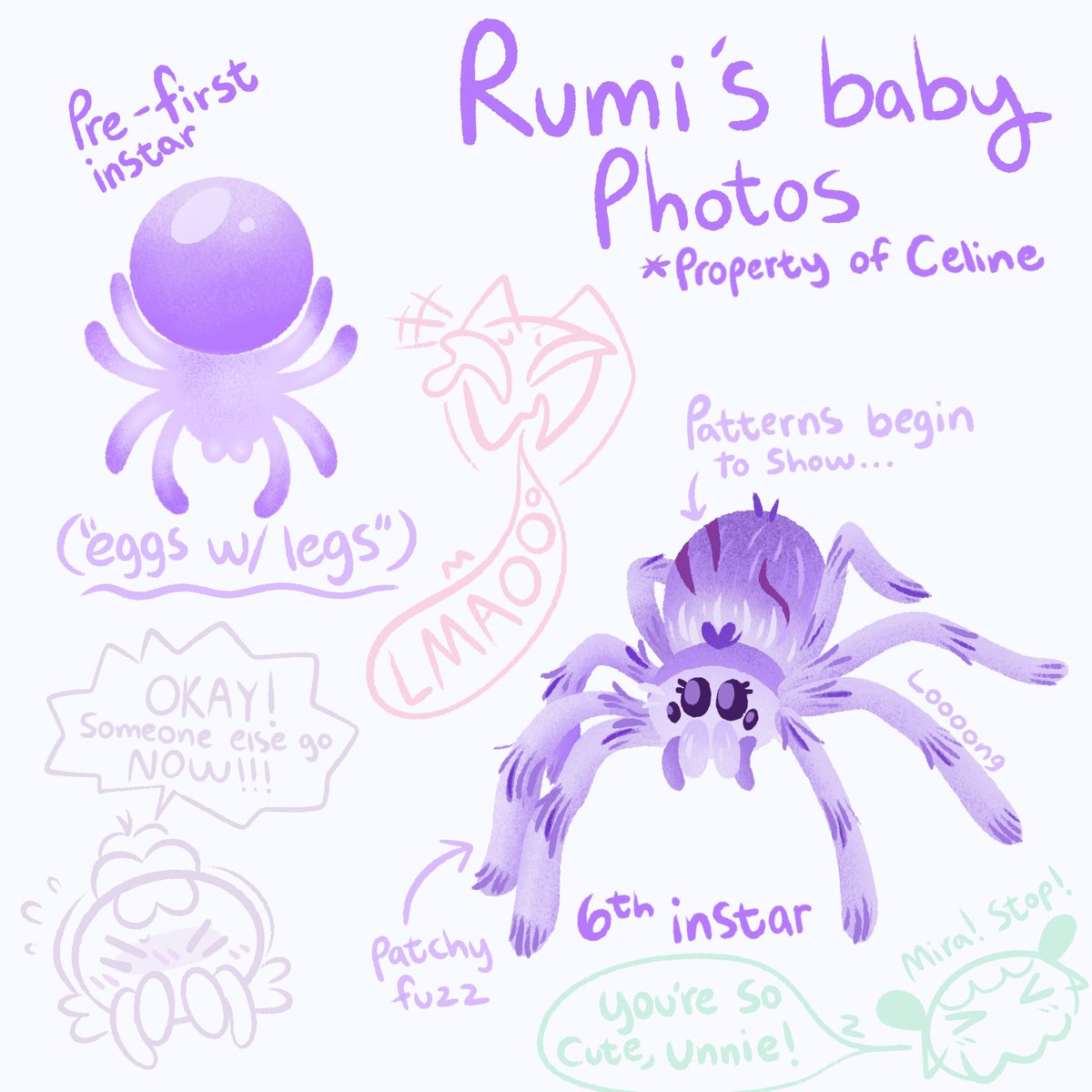beetlefixation's tweet photo. Baby Bugtrix (1/3): Rumi
The tarantula lifecycle is CRAZY. They go through stages called instars (the time before two molts) and their earliest form is lovingly referred to by many as ��Eggs with Legs.” Anyway, here’s an awkward baby Rumi haha
#bugtrix #kpdh #kpdhfanart https://t.co/9fXj9dyZMZ