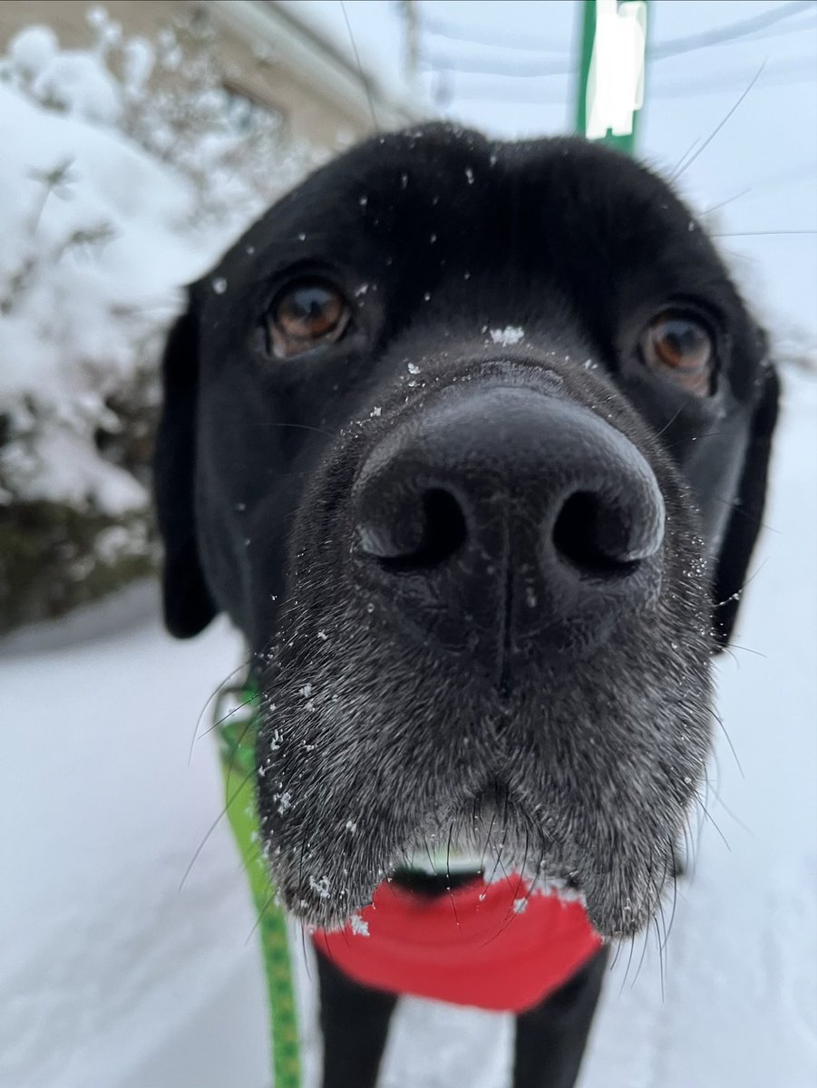 最強最長寒波ってどこから来るの？？？