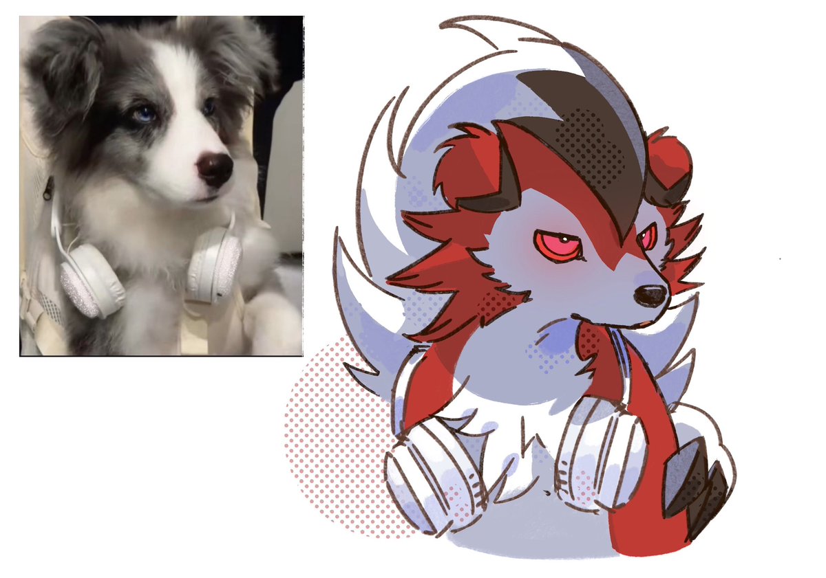 세쾅이 / セクァンイ tweet media