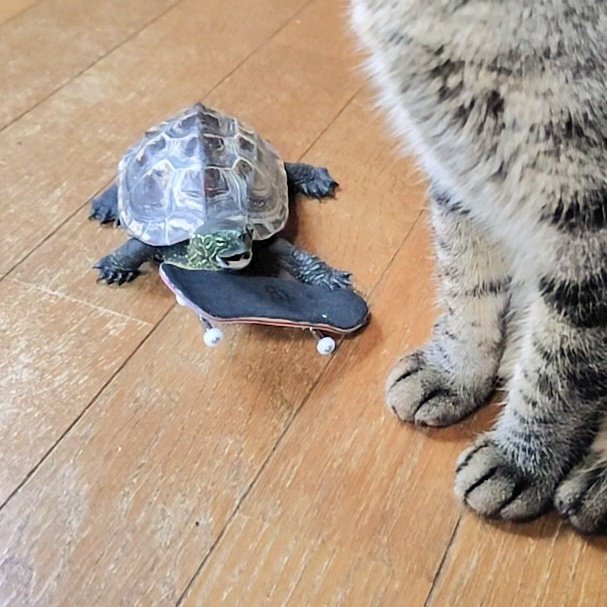 めっちゃ嬉しそうwww