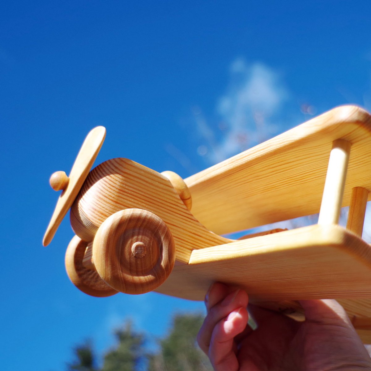 y*2様 デブレスカ社 北欧の飛行機 北欧の飛行機 - メルヒェン