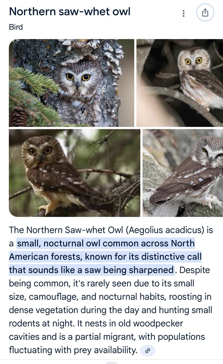 stacey brotzel tweet media