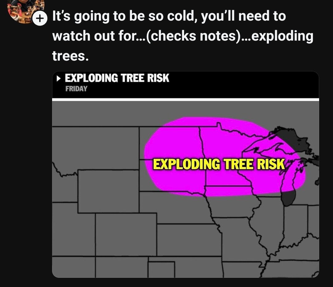 I remember seeing Exploding Trees at Lollapalooza. Pit went crazy when they played Nearly Lost You