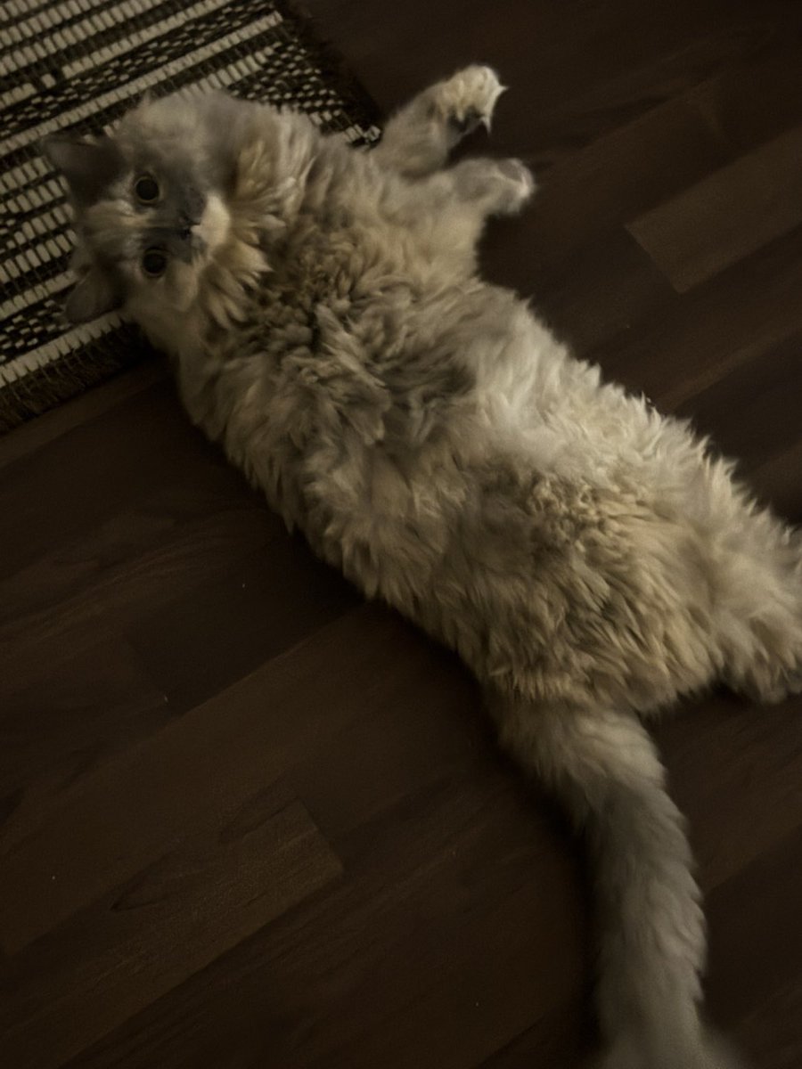 صباااااحكم لونا