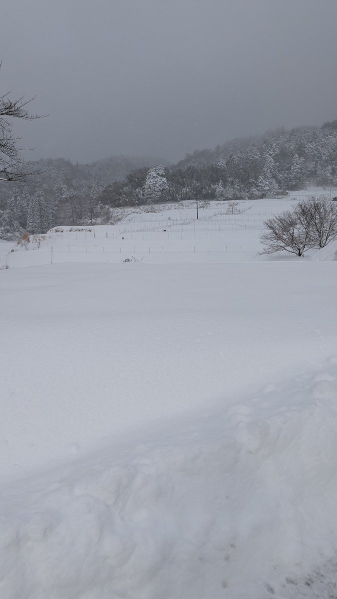 どんくん tweet media