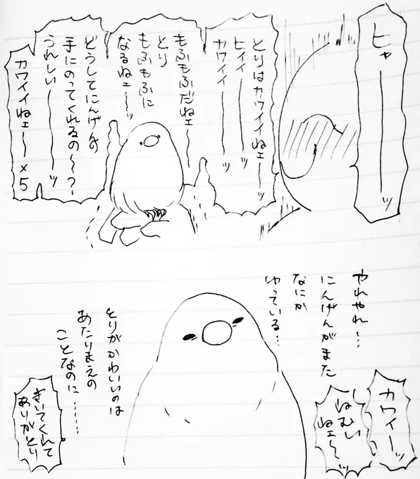 日課 
