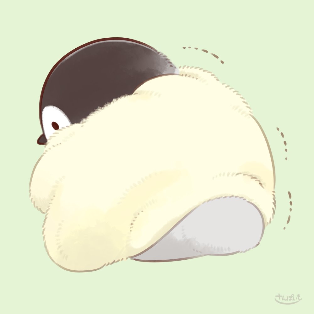 さんぽいも🐥もふピヨ🐥 tweet media