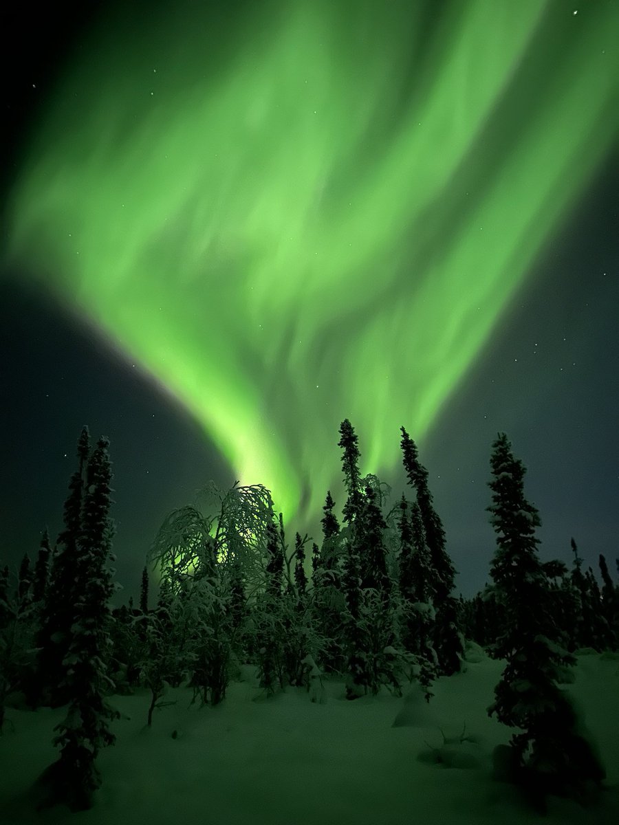 هاني tweet media