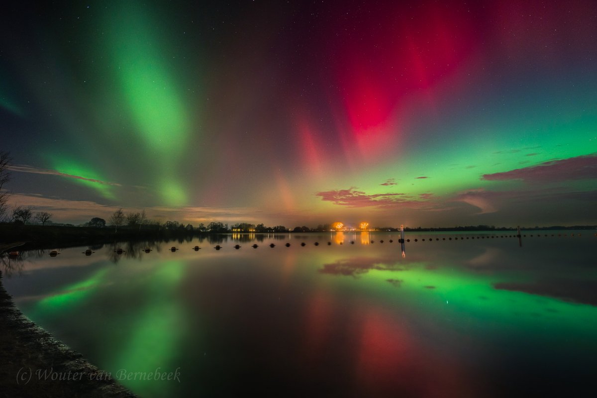 Wouter van Bernebeek tweet media