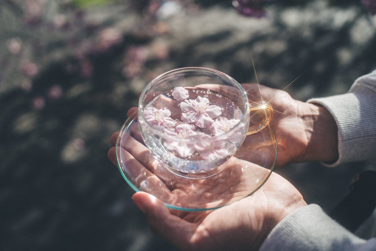 tanco_camera's tweet image. 春が待ち遠しい...といいつつ冬めちゃ好き