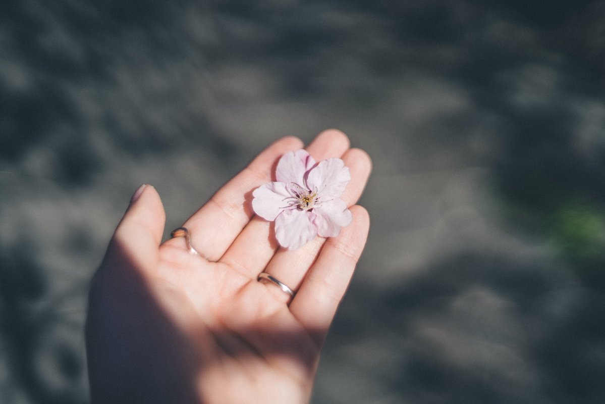 tanco_camera's tweet image. 春が待ち遠しい...といいつつ冬めちゃ好き