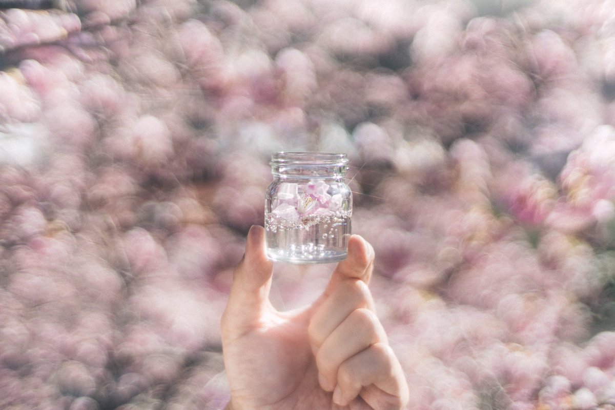 tanco_camera's tweet image. 春が待ち遠しい...といいつつ冬めちゃ好き