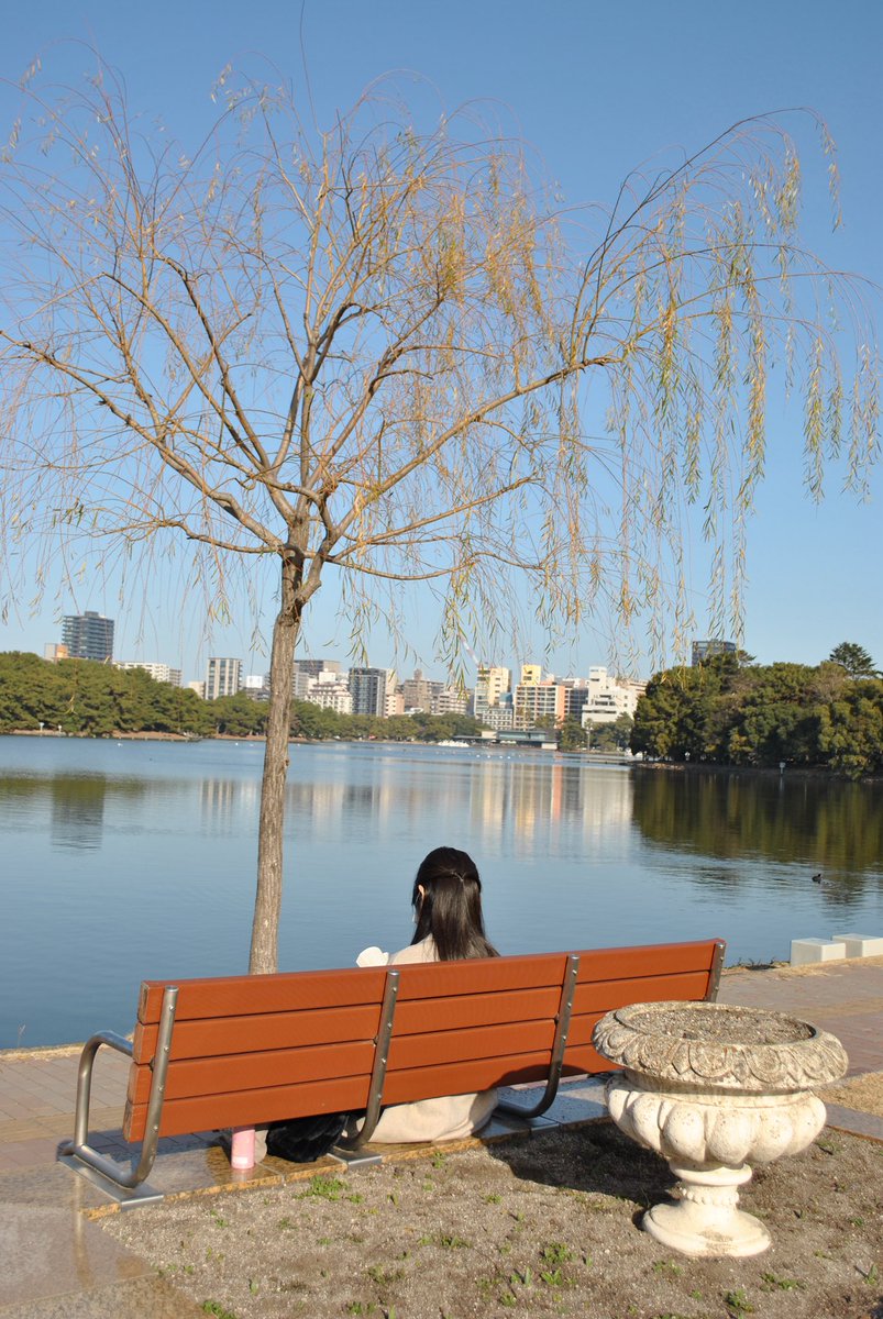 momochaaanmac's tweet photo. ベンチ
#スナップ #snap #ベンチ #大濠公園 #D3000 #Nikon #写真好きな人と繋がりたい https://t.co/rSjQMLoqtw